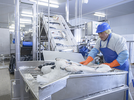 工業(yè)制冰機(jī)型號有哪些